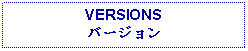 Text Box: VERSIONSバージョン