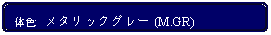 Flowchart: Alternate Process: 体色:  メタリックグレー (M.GR)