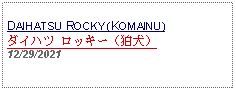 Text Box: DAIHATSU ROCKY (KOMAINU)ダイハツ ロッキー（狛犬） 12/29/2021