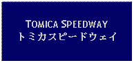 Text Box: TOMICA SPEEDWAYトミカスピードウェイ