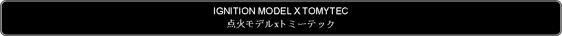 Flowchart: Alternate Process: IGNITION MODEL X TOMYTEC点火モデルxトミーテック