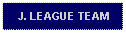 Text Box: J. LEAGUE TEAM 