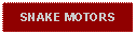 Text Box: SNAKE MOTORS