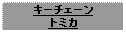 Text Box: キーチェーントミカ