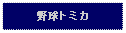 Text Box: 野球トミカ