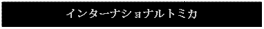 Text Box: インターナショナルトミカ