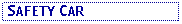 Text Box:  SAFETY CAR