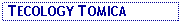 Text Box:  TECOLOGY TOMICA