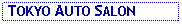 Text Box:  TOKYO AUTO SALON