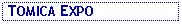 Text Box:  TOMICA EXPO